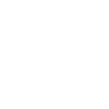NS - White