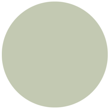 NS - Celadon green