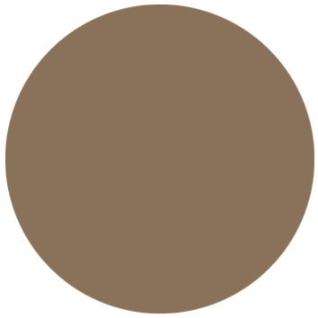 NS - Dark camel