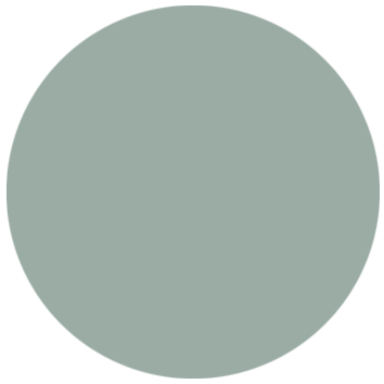 NS - Washed jade green