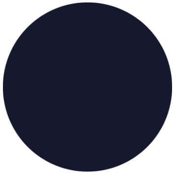 French navy