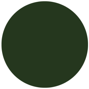 Spruce