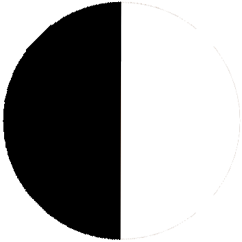 Black/White