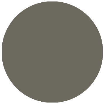 Dark Khaki