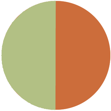Lime/Spicy Orange