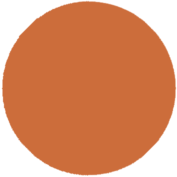 Spicy Orange