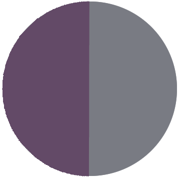 Sporty Purple/Sporty Grey